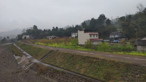 樱花公园旅行图片 1