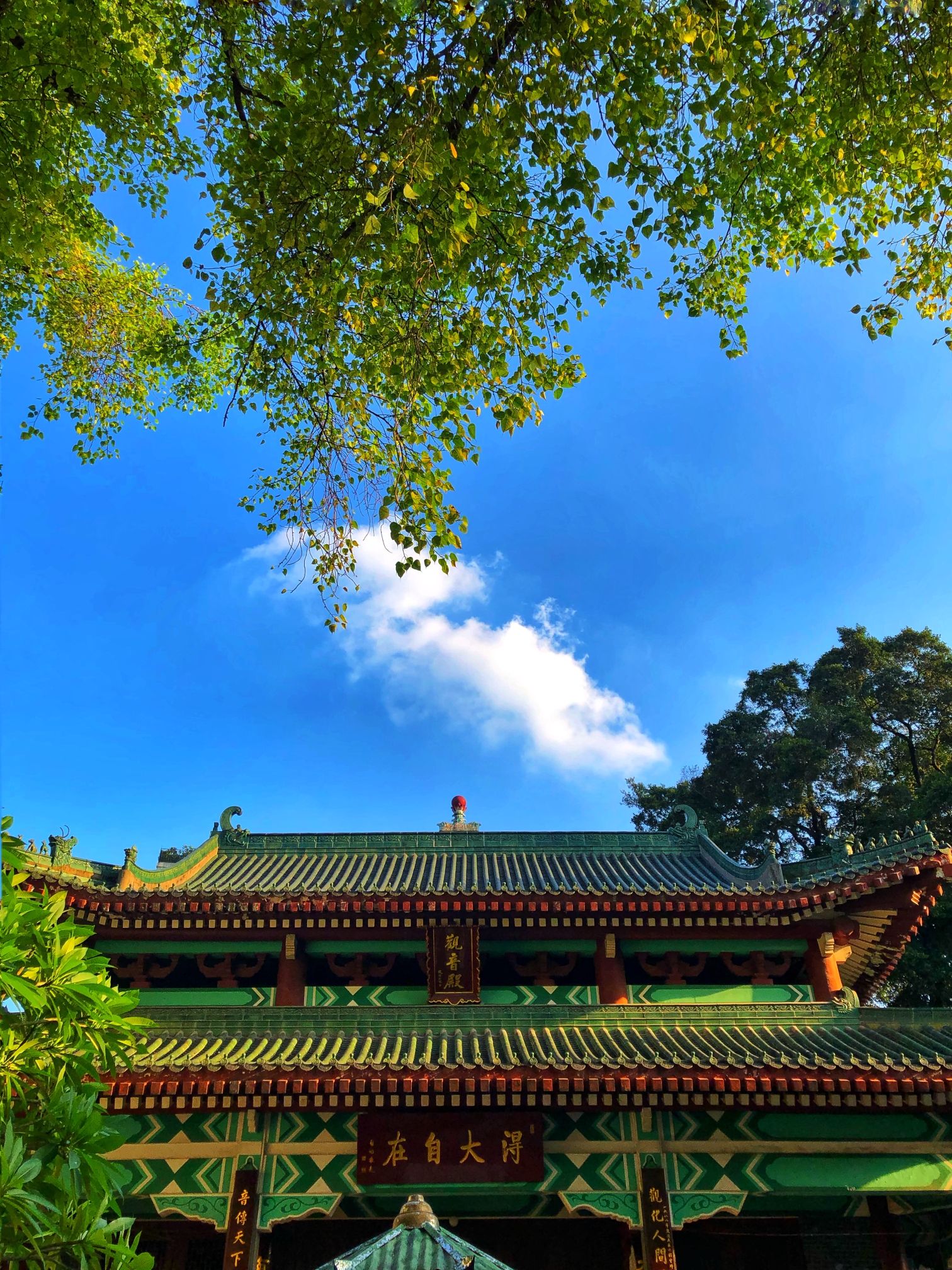 六榕寺观音殿实景照片