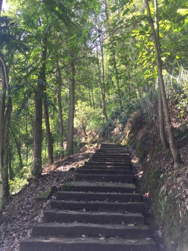 梅岭山森林公园旅行图片 2