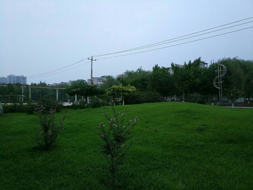 芳华公园旅行图片 1