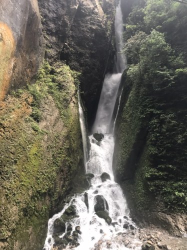 城口县九重山国家森林公园旅行图片 2