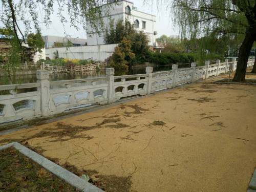 峰园公园旅行图片 1