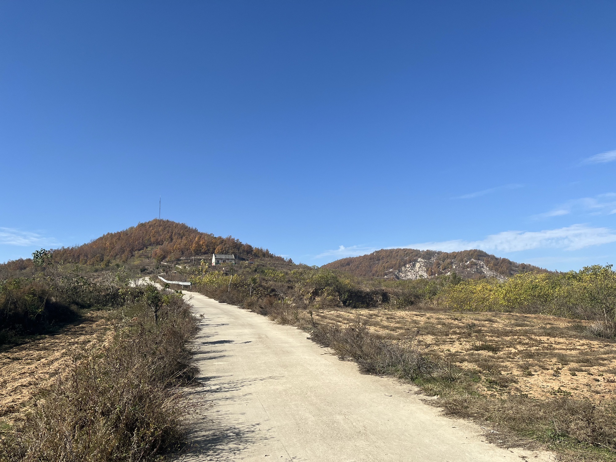 磨山老君殿实景照片
