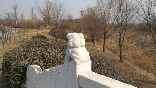 柳毅山景区旅行图片 2