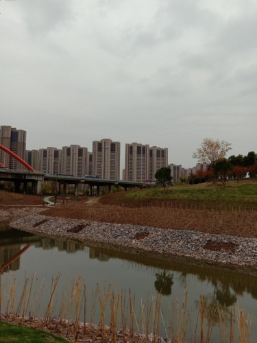 寅春路海绵湿地公园旅行图片 3