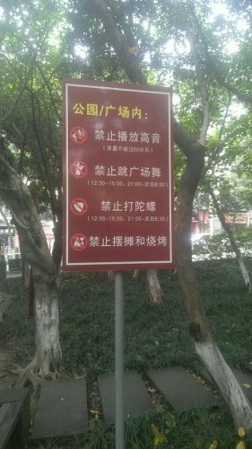 西苑小区旅行图片 2