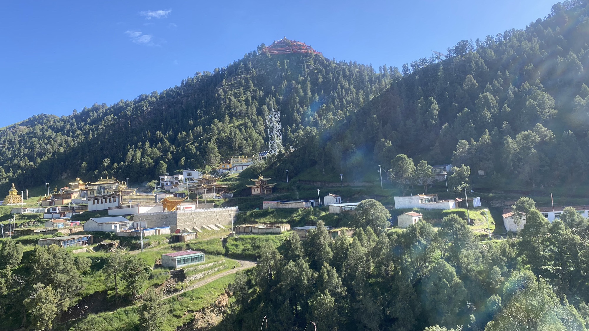中山寺实景照片