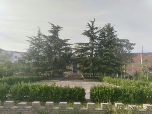 颜真卿墓旅行图片 3