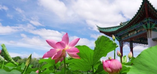 On-site photo 3 of Da Guan Park