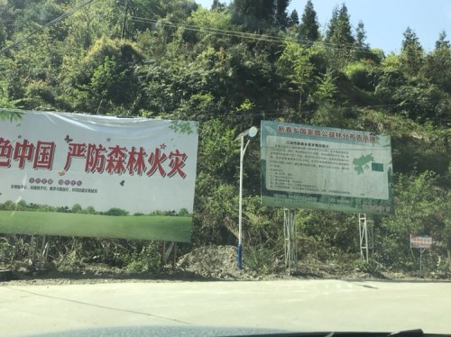 藏王寨自然保护区旅行图片 2