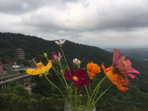 惠来妈祖文化公园旅行图片 3