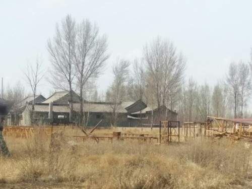 释尼召沙漠绿海乐园旅行图片 2
