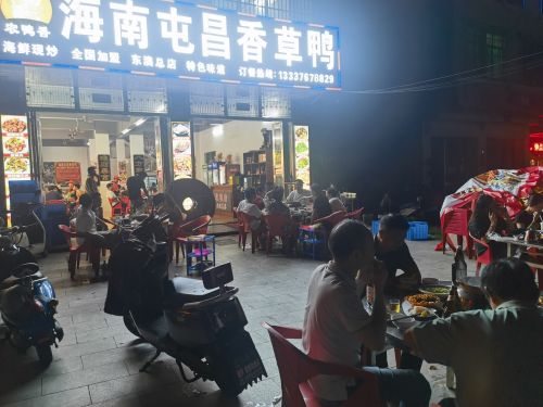 海南屯昌香草鸭