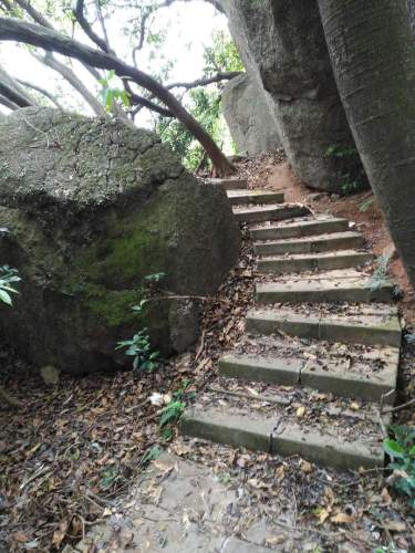 诚联公园旅行图片 2