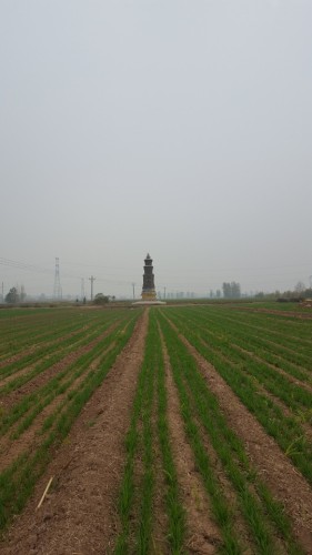 普同宝塔旅行图片 3