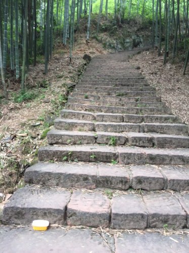 便江龙华山旅游区旅行图片 3