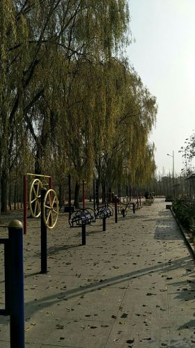 蒙阴汶河公园旅行图片 1