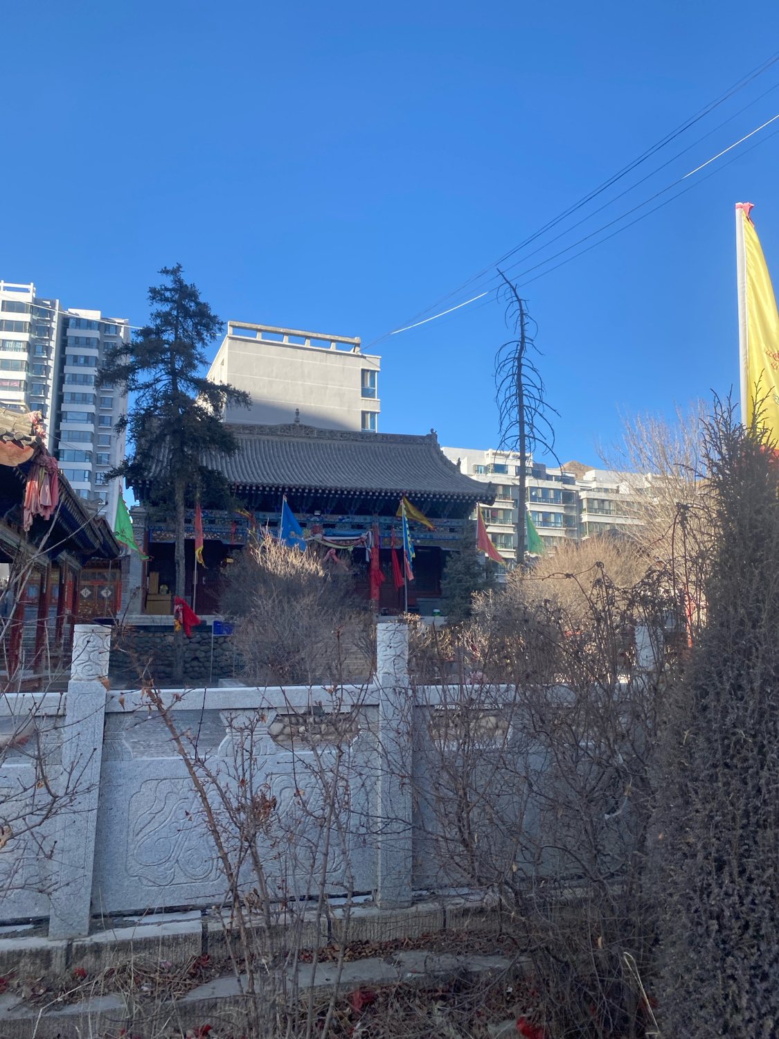 湟源西海龙王庙实景照片