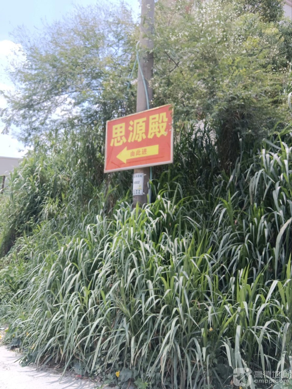 思源殿实景照片