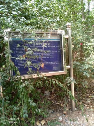 槐树岭公园(不对外开放)旅行图片 3