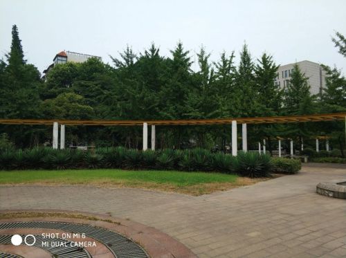 九龙公园旅行图片 2