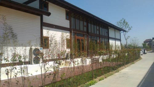 中国食虫植物园旅行图片 1