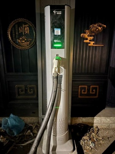 特来电汽车充电站(晋州城投万鸿门业充电站)