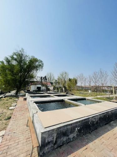 淄博经开区奇宇养殖场实景图（3）