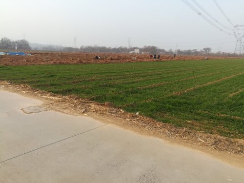 原始社会灰咀遗址旅行图片 2