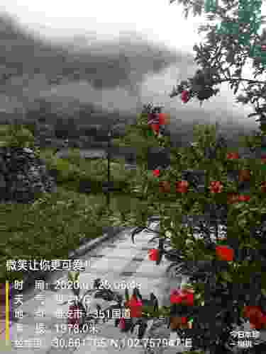仁朵藏寨旅行图片 2