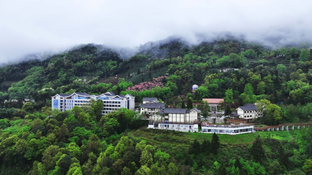 蒙顶山景点图片