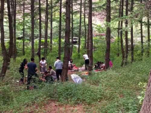 和平森林公园旅行图片 1