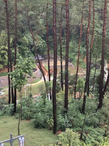 梅子山公园旅行图片 3