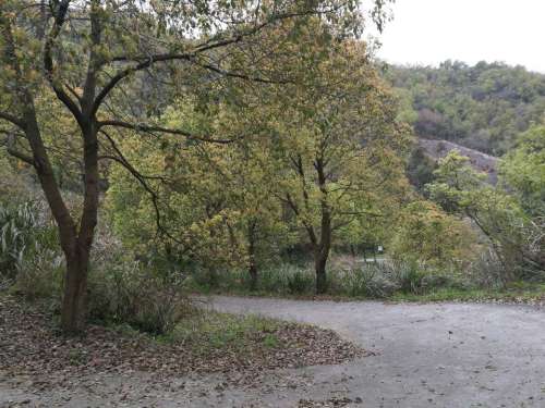南山公园(海游街)旅行图片 3