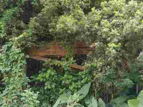 容桂马岗森林公园旅行图片 2