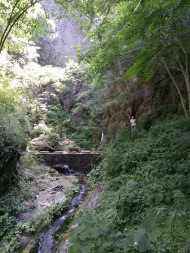 栾川天宇红豆杉景区旅行图片 3