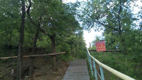 青龙山公园旅行图片 1