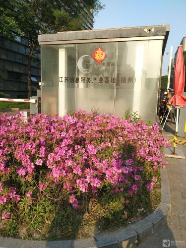 江苏信息服务产业基地2期实景图