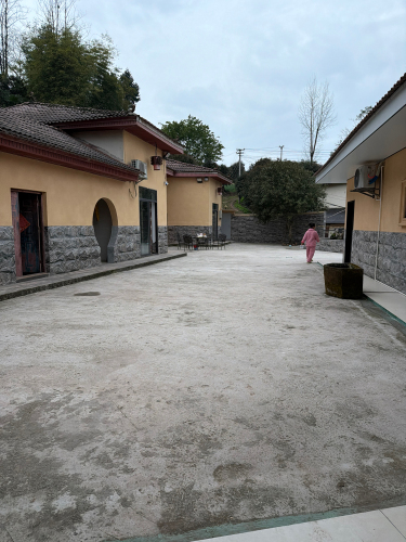 Gallery 3