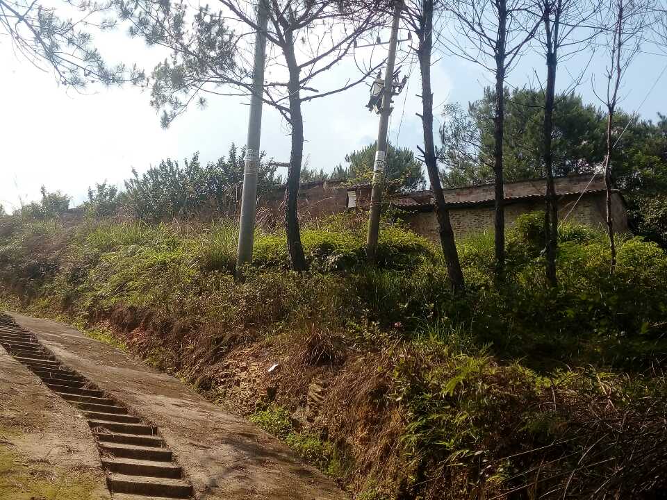 六和长圣庙实景照片
