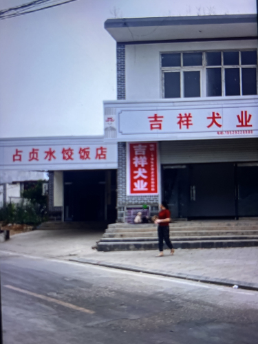 吉祥犬业