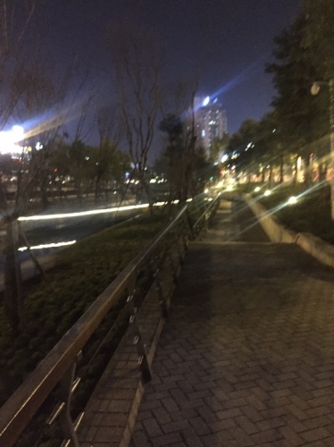 中央水体公园旅行图片 1