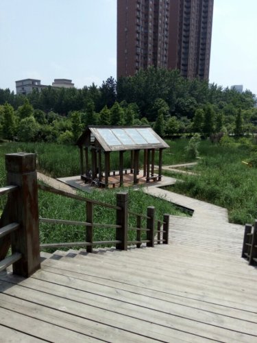 中国铁建·国际城湿地公园旅行图片 3