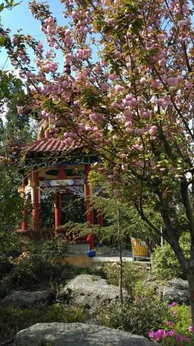 红果后山公园旅行图片 2