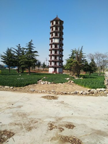 龙兴塔旅行图片 2