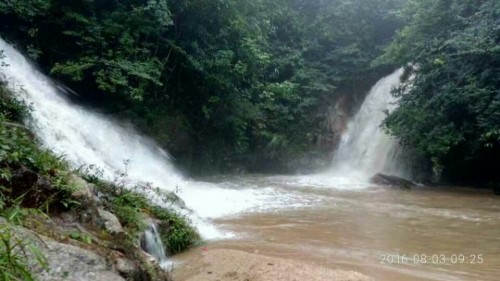大垌角乡村旅游风景区旅行图片 3