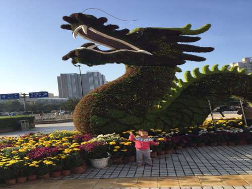 郊野公园旅行图片 3