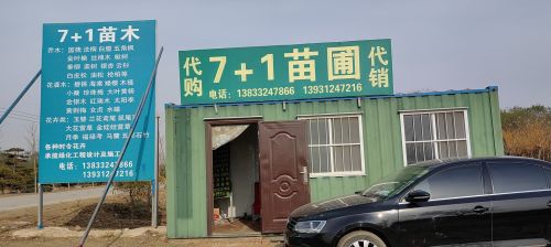 定州7+1苗圃