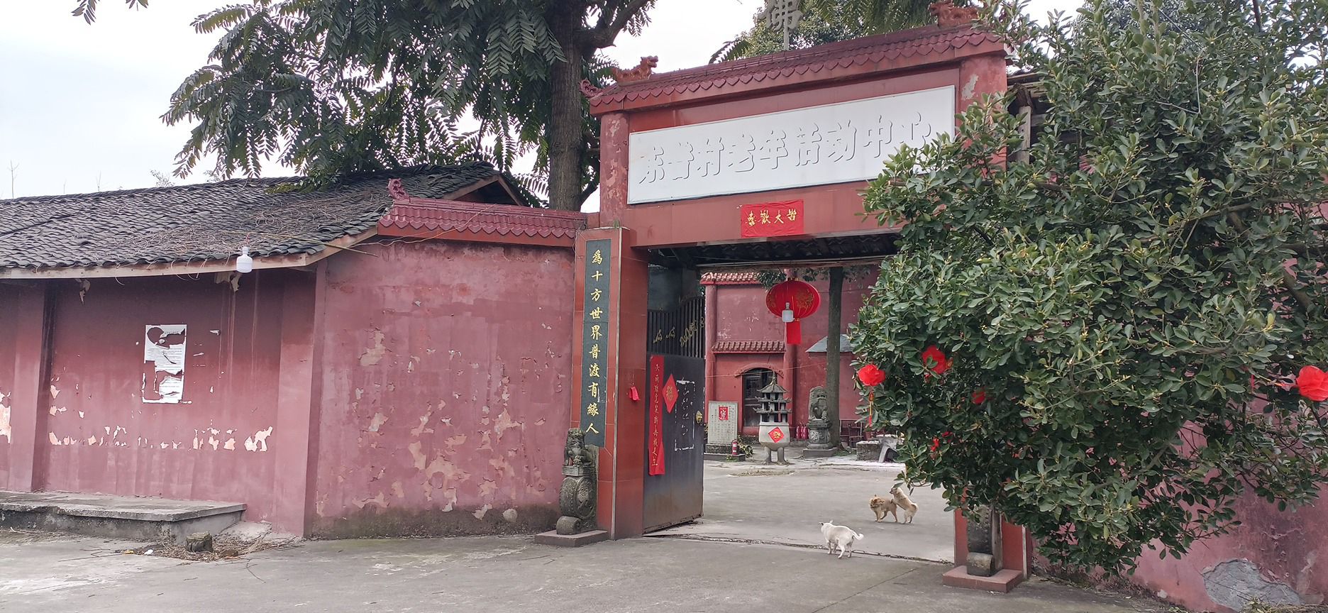 东林寺实景照片