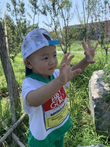 三营门公园旅行图片 3